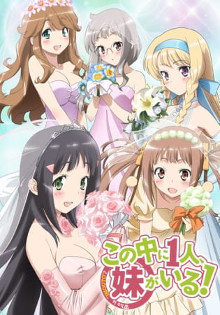 Anime NAKAIMO - My Little Sister Is Among Them! – Summer 2012