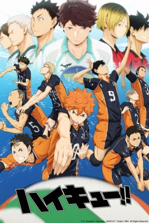 Anime Haikyu!! – Spring 2014