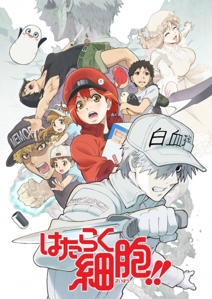 Anime Cells at Work!! – Winter 2021